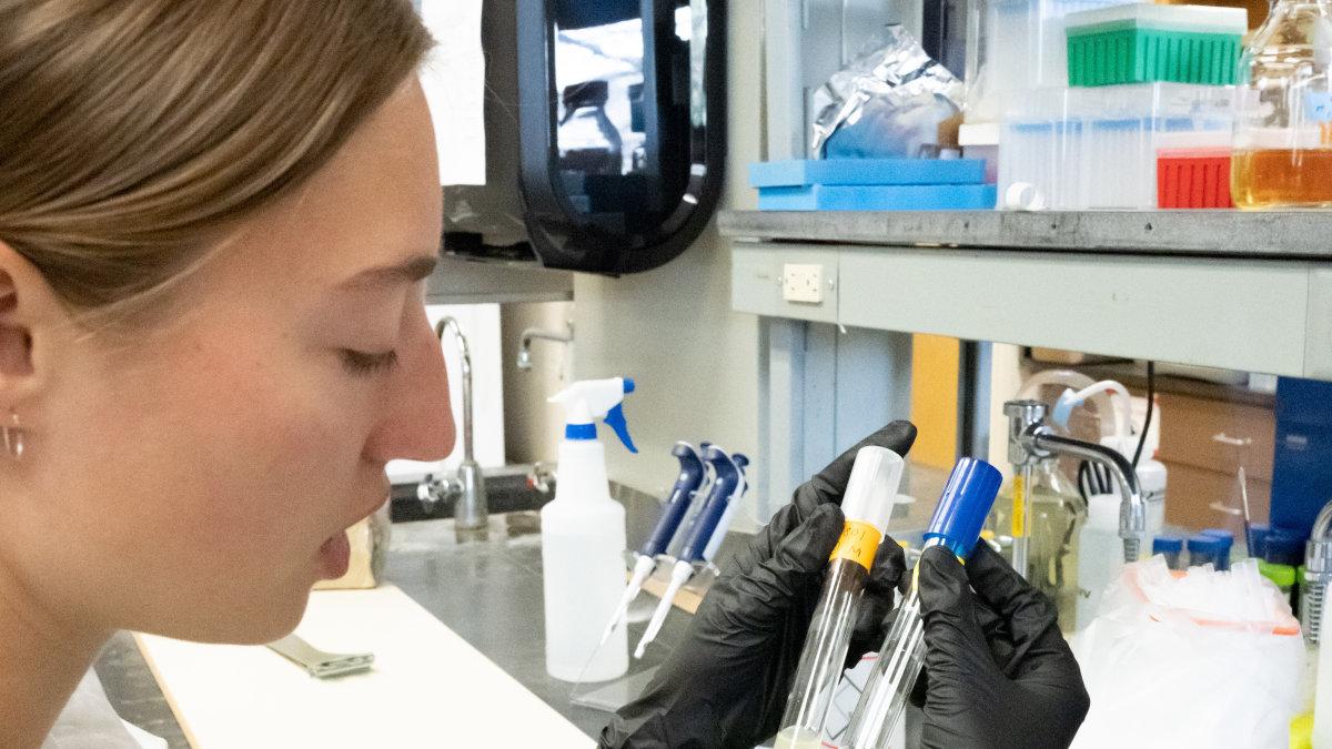 Woman wearing lab coat examines test tubes.